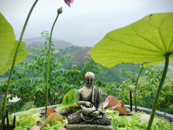 Self-healing natural retreat at Midori Farm